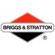 Двигатели Briggs-Stratton в Екатеринбурге